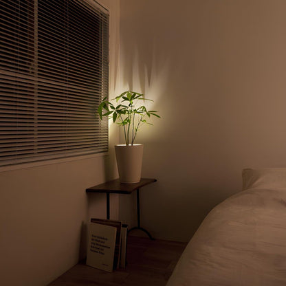 EasyWall | Wireless LED Spotlight with Remote – Dimmable Battery Picture Light, Stick-On Accent Light for Art, Plants & Walls