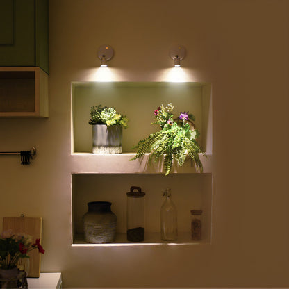 EasyWall | Wireless LED Spotlight with Remote – Dimmable Battery Picture Light, Stick-On Accent Light for Art, Plants & Walls