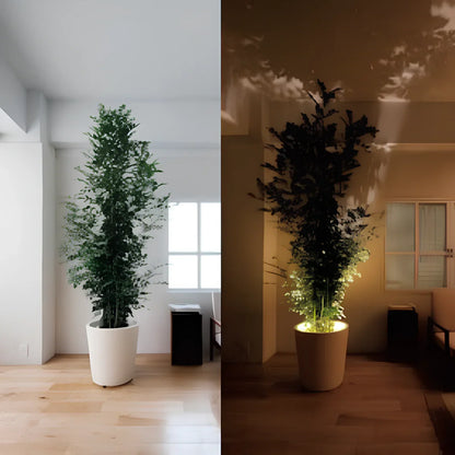EasyWall | Wireless LED Spotlight with Remote – Dimmable Battery Picture Light, Stick-On Accent Light for Art, Plants & Walls