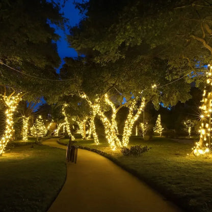 Solar Fairy String Lights – Waterproof Outdoor Garden & Patio Lights